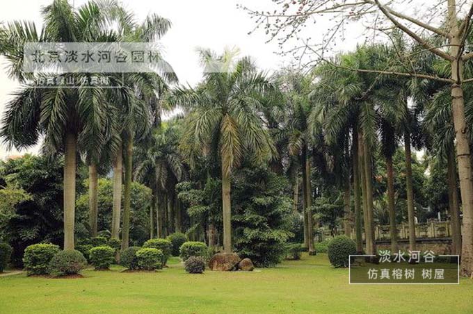 淺談仿真棕櫚樹—北京淡水河谷仿真樹