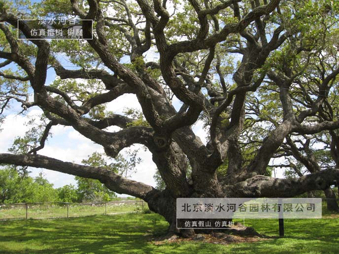仿真樹為新農村建設出一份力-北京淡水河谷仿真樹
