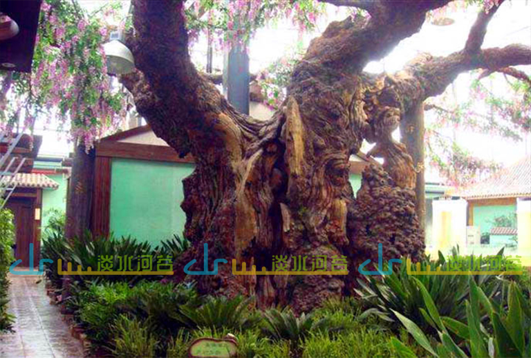 造型逼真的仿真樹的出現為人們的生活裝點了別樣的風景