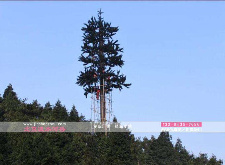 避雷針樹和樹形避雷針是現在景區的標準配置