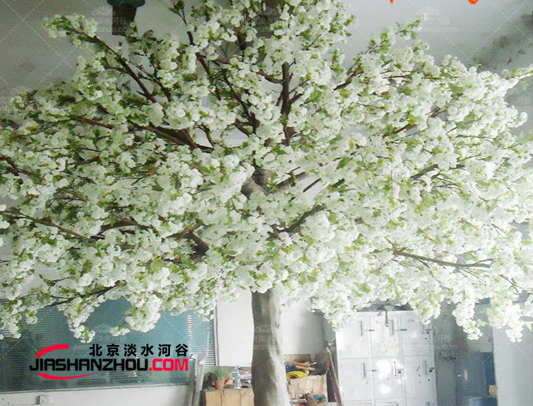 這個(gè)仿真樹(shù)流蘇樹(shù)廠(chǎng)家制作世界名觀(guān)賞性仿真樹(shù)國(guó)內(nèi)外皆有施工