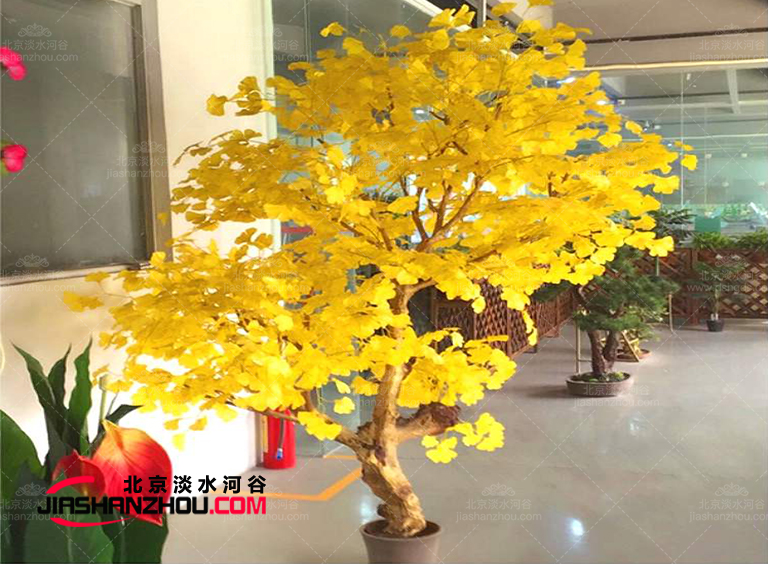 要么不做要做就做優質品仿真樹這家廠家靠譜