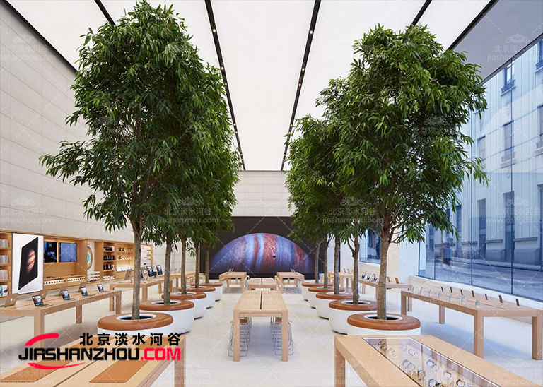 論仿真樹和樹的相互補償