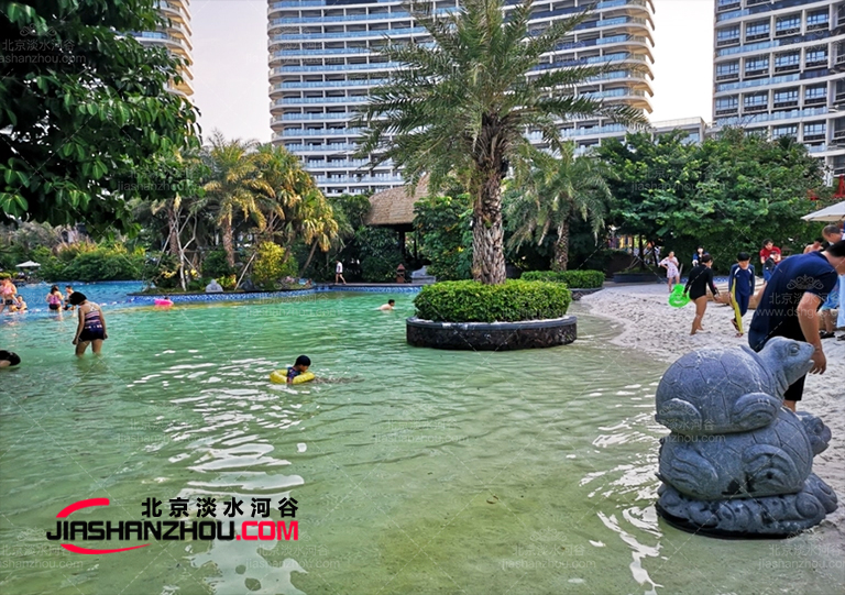 幾乎天然的仿真樹棕櫚樹是受自然啟發