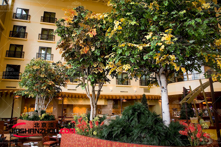 仿真樹與城市和諧的不同感覺適用渴望回歸自然的人