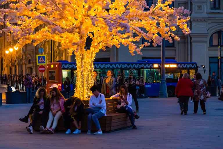 用仿真樹裝飾花園我們有豐富的經驗和技術