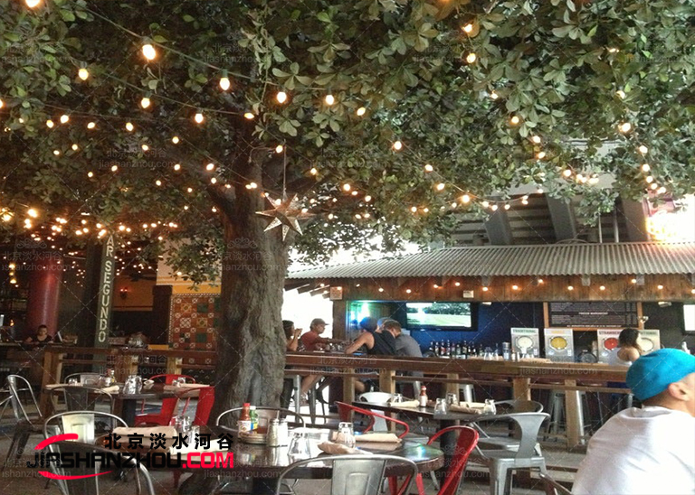 高品質高質量9.5米仿真樹室內外均可訂制