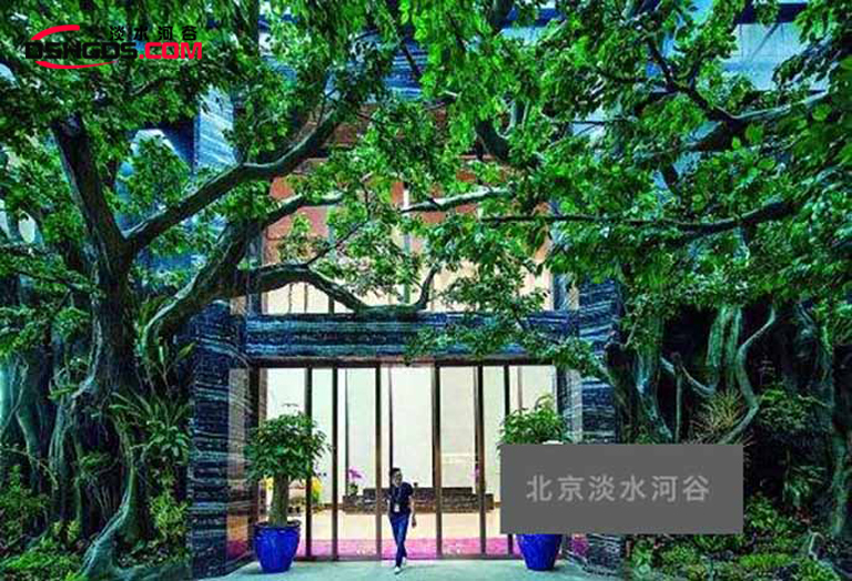 仿真榕樹還可以這樣使用以前都不知道