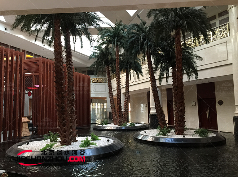 中國北方也可以有高端大氣上檔次的室內(nèi)外擺放的棕櫚仿真樹