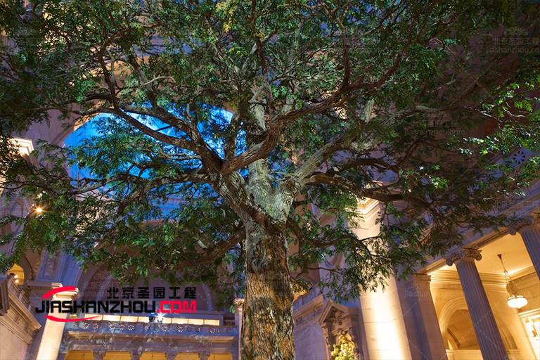 選擇色彩繽紛的仿真樹都可以改變目之所及的世界