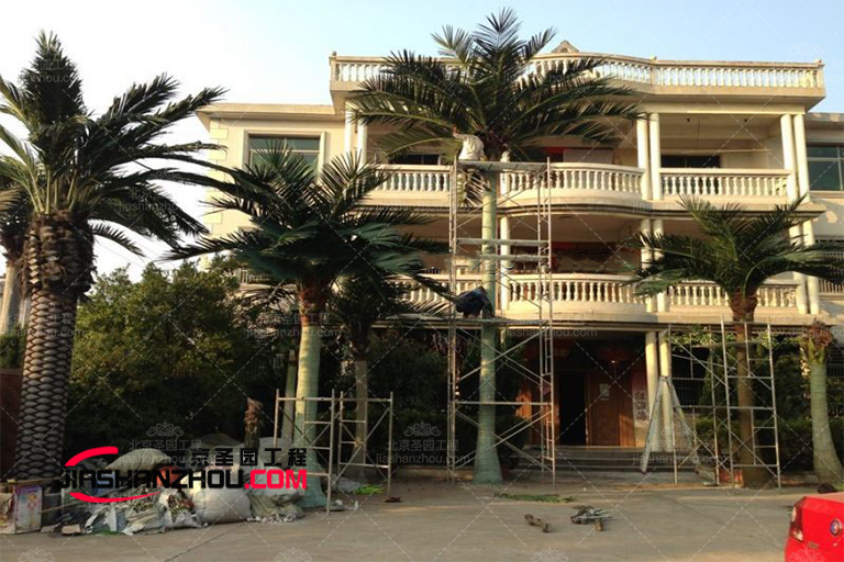 將您的空間改造成海灘熱帶仿真樹主題裝飾的海濱別墅