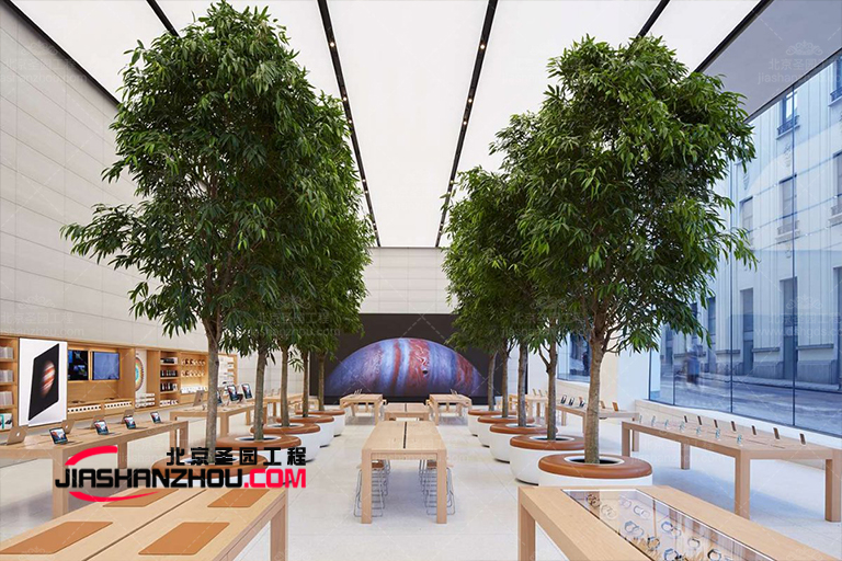 明亮的綠色仿真樹排列成一個(gè)簡(jiǎn)單但誘人的組合