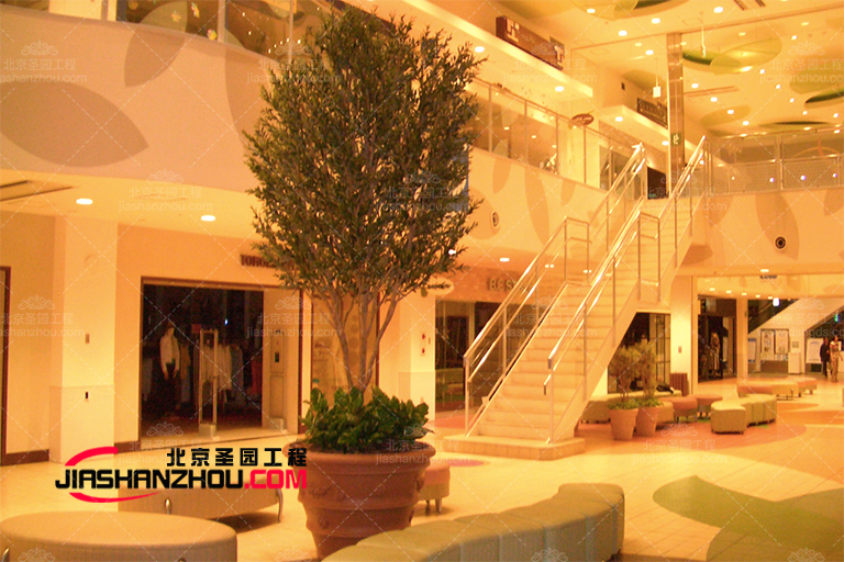 佳福建室內盆景仿真樹以及室內仿真棕櫚樹美圖