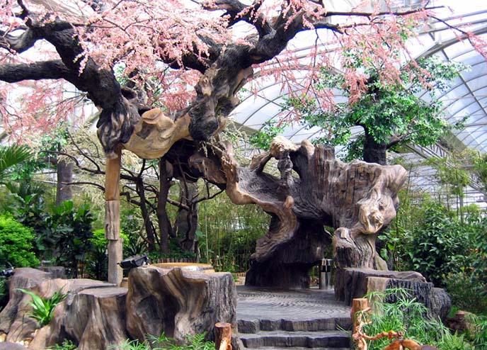 設(shè)計(jì)仿真樹(shù)的時(shí)候應(yīng)該從哪些方面來(lái)考慮?