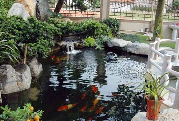 假山魚(yú)池