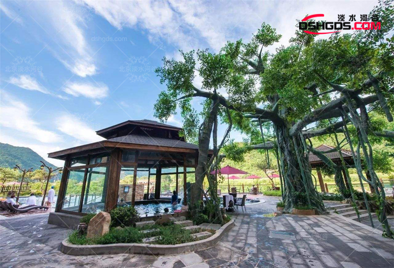 仿真樹.jpg 仿真樹