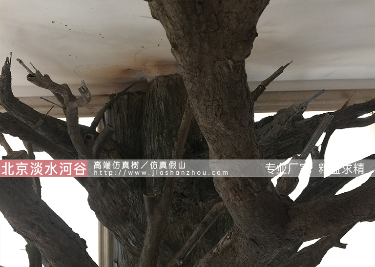 仿真樹(shù)
