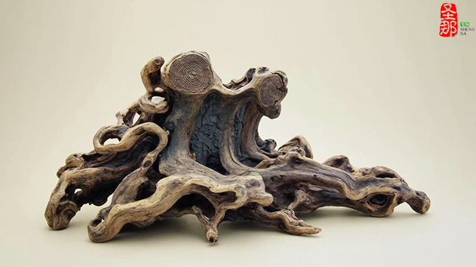 16x9_古代樹樁_淺色背景 (4).png